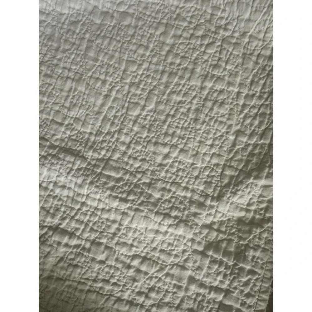 Vintage Wild Rose Quilt w/Hand-Stitched Floral Border, 1930s (78